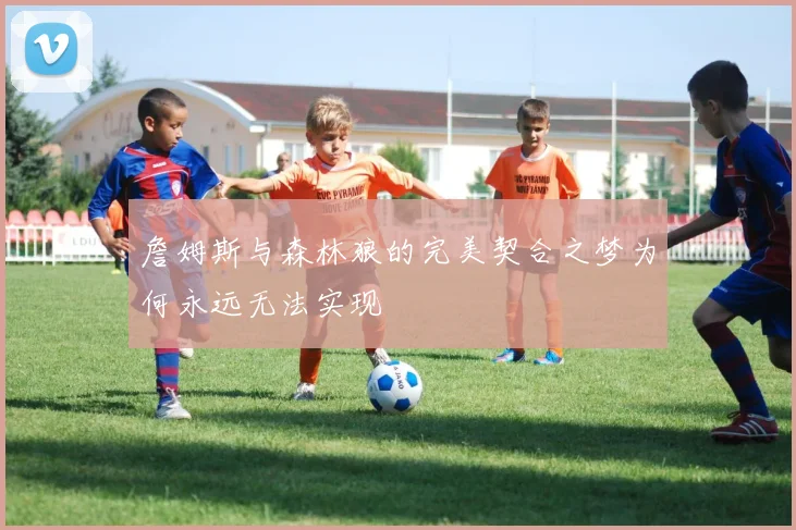 詹姆斯与森林狼的完美契合之梦为何永远无法实现
